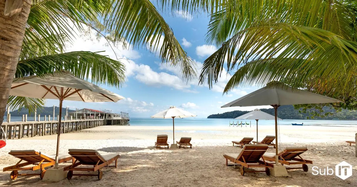 A line of palm trees in front of a beach coast where local businesses need vCIO services.